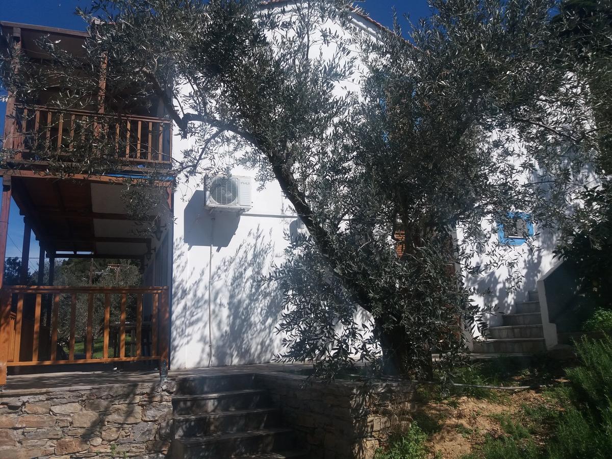 Megalos Mourtias Apartment Alonnisos Town Exterior photo